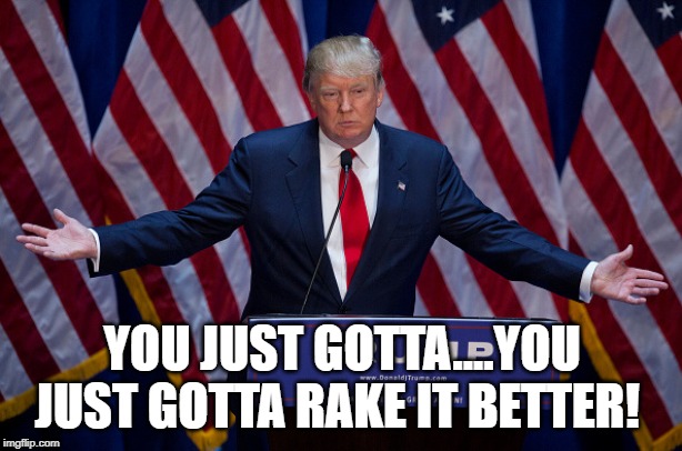 Donald Trump | YOU JUST GOTTA....YOU JUST GOTTA RAKE IT BETTER! | image tagged in donald trump | made w/ Imgflip meme maker