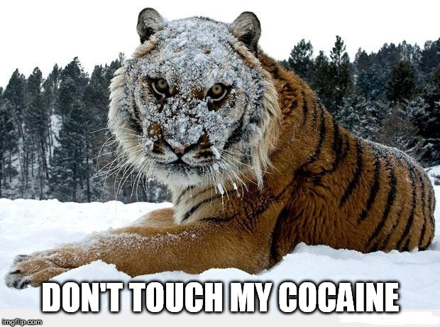 DON'T TOUCH MY COCAINE | made w/ Imgflip meme maker
