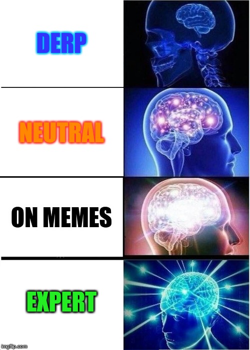 Expanding Brain Meme | DERP; NEUTRAL; ON MEMES; EXPERT | image tagged in memes,expanding brain | made w/ Imgflip meme maker