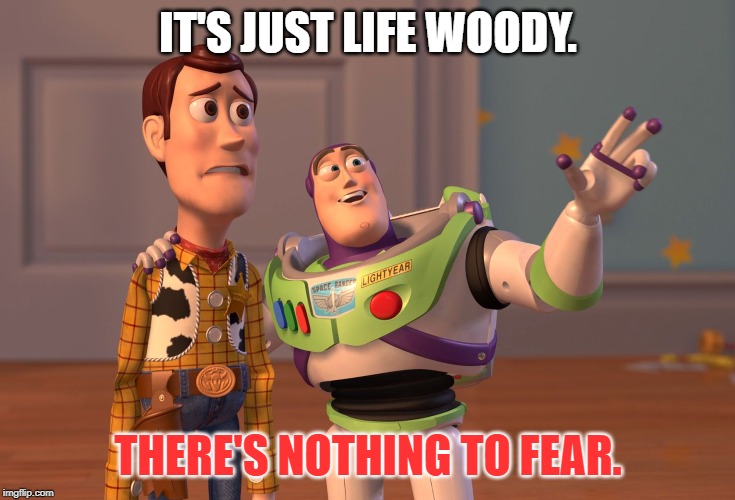 X, X Everywhere Meme | IT'S JUST LIFE WOODY. THERE'S NOTHING TO FEAR. | image tagged in memes,x x everywhere | made w/ Imgflip meme maker