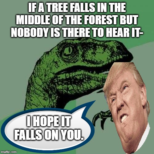 Philosoraptor | IF A TREE FALLS IN THE MIDDLE OF THE FOREST BUT NOBODY IS THERE TO HEAR IT-; I HOPE IT FALLS ON YOU. | image tagged in memes,philosoraptor,trump,donald,tree,philosophy | made w/ Imgflip meme maker