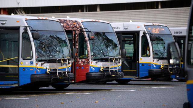 Translink buses Blank Meme Template