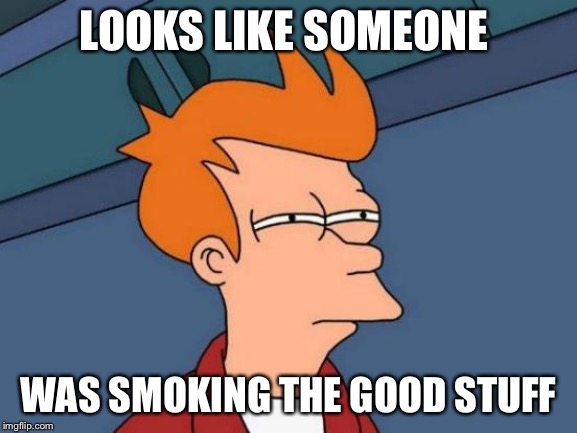 Futurama Fry Meme | LOOKS LIKE SOMEONE; WAS SMOKING THE GOOD STUFF | image tagged in memes,futurama fry | made w/ Imgflip meme maker
