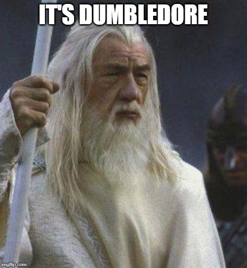 gandalf | IT'S DUMBLEDORE | image tagged in gandalf | made w/ Imgflip meme maker