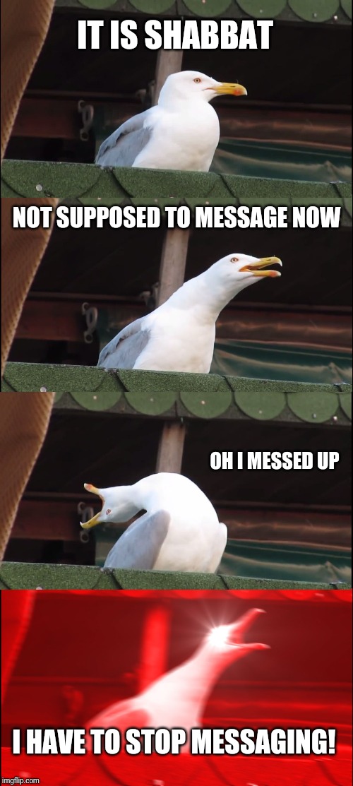 Inhaling Seagull Meme | IT IS SHABBAT; NOT SUPPOSED TO MESSAGE NOW; OH I MESSED UP; I HAVE TO STOP MESSAGING! I HAVE TO TALK AFTER NIGHTFALL TONIGHT OK | image tagged in memes,inhaling seagull | made w/ Imgflip meme maker