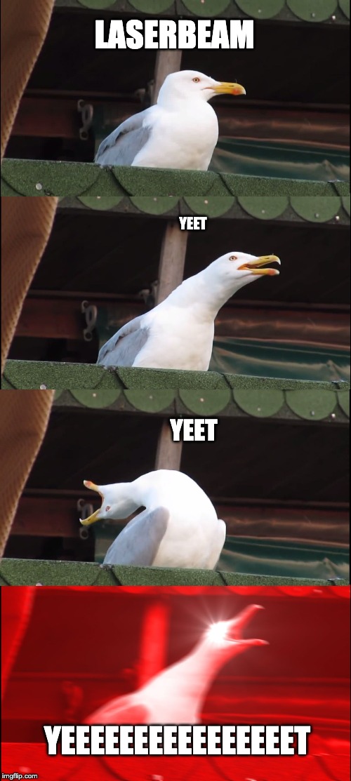 Inhaling Seagull | LASERBEAM; YEET; YEET; YEEEEEEEEEEEEEEEET | image tagged in memes,inhaling seagull | made w/ Imgflip meme maker