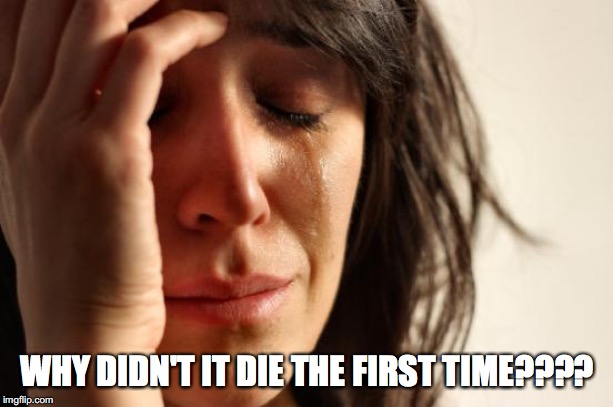 First World Problems Meme | WHY DIDN'T IT DIE THE FIRST TIME???? | image tagged in memes,first world problems | made w/ Imgflip meme maker