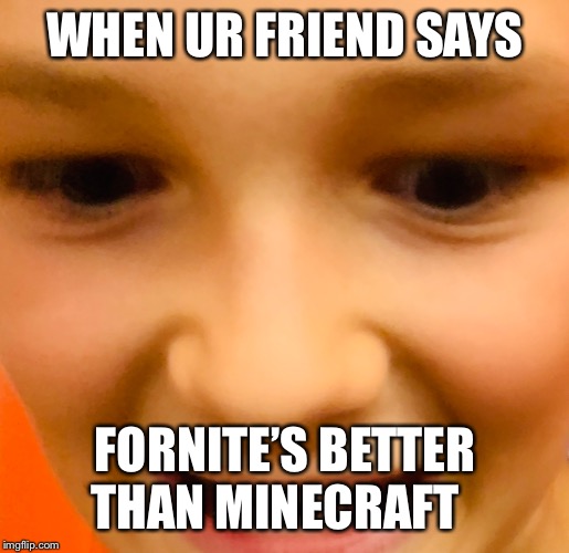 BRUH | WHEN UR FRIEND SAYS; FORNITE’S BETTER THAN MINECRAFT | image tagged in minecraft | made w/ Imgflip meme maker