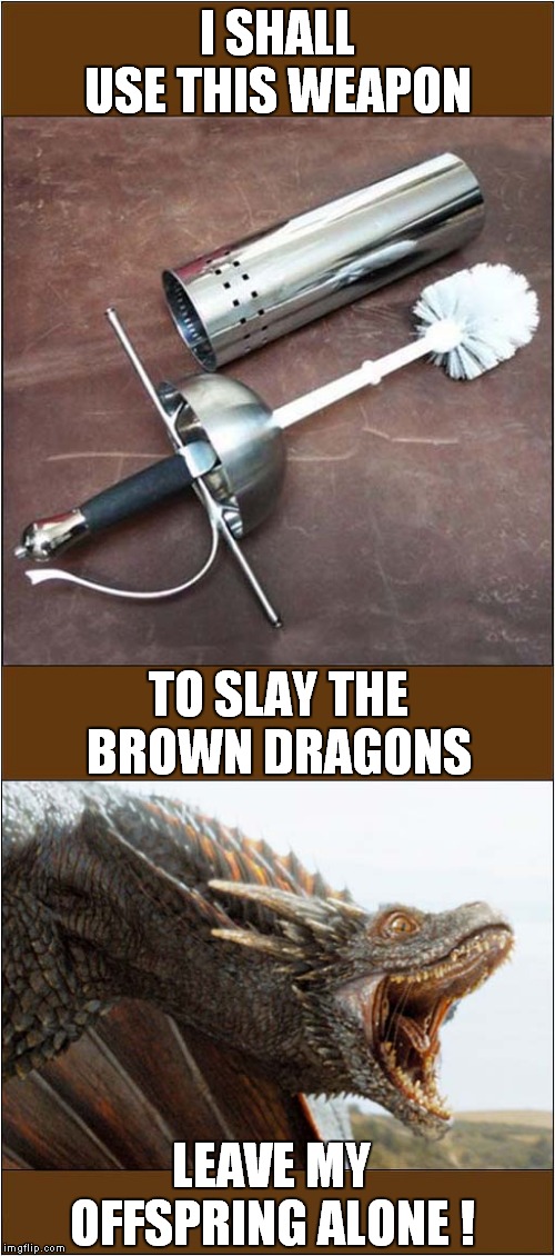 The Dragon Slayer | I SHALL USE THIS WEAPON; TO SLAY THE BROWN DRAGONS; LEAVE MY OFFSPRING ALONE ! | image tagged in fun,toilets,dragons | made w/ Imgflip meme maker
