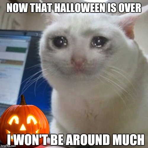 GOT ALOT OF WORK TO DO | NOW THAT HALLOWEEN IS OVER; I WON'T BE AROUND MUCH | image tagged in crying cat | made w/ Imgflip meme maker