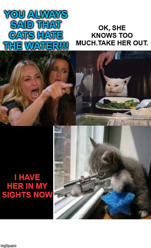 Cat Conspiracy | OK, SHE KNOWS TOO MUCH.TAKE HER OUT. YOU ALWAYS SAID THAT CATS HATE THE WATER!!! I HAVE HER IN MY SIGHTS NOW | image tagged in cat memes,woman yelling at cat,shooter,swimming,cats | made w/ Imgflip meme maker