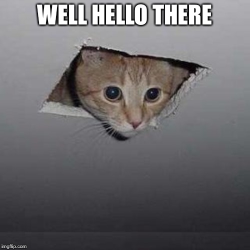 Ceiling Cat | WELL HELLO THERE | image tagged in memes,ceiling cat | made w/ Imgflip meme maker