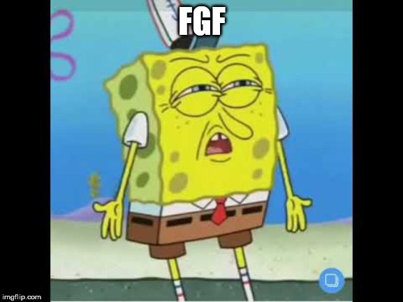 discoused spongebob |  FGF | image tagged in discoused spongebob | made w/ Imgflip meme maker