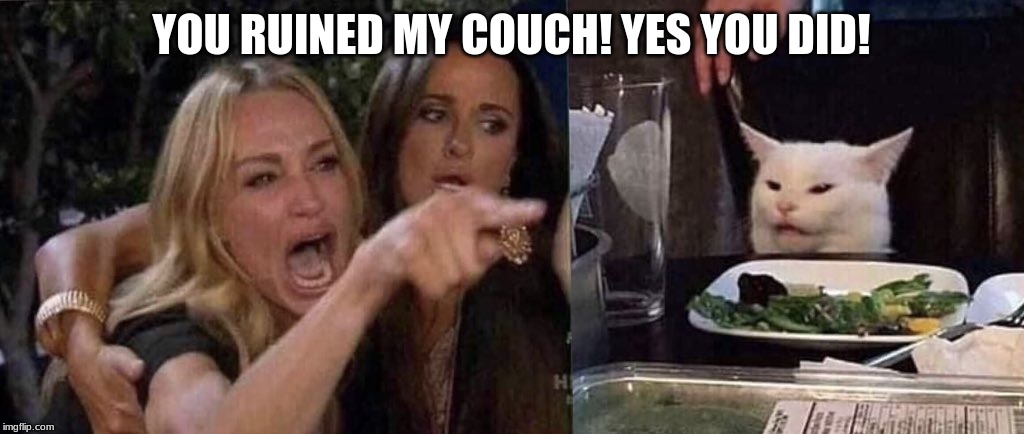 woman yelling at cat | YOU RUINED MY COUCH! YES YOU DID! | image tagged in woman yelling at cat | made w/ Imgflip meme maker