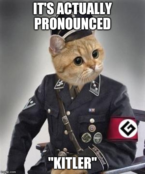 Grammar Nazi Cat | IT'S ACTUALLY PRONOUNCED; "KITLER" | image tagged in grammar nazi cat | made w/ Imgflip meme maker