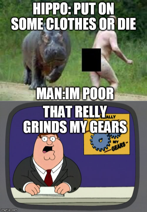 HIPPO: PUT ON SOME CLOTHES OR DIE; MAN:IM POOR; THAT RELLY GRINDS MY GEARS | image tagged in memes,peter griffin news,hippo vs naked guy | made w/ Imgflip meme maker