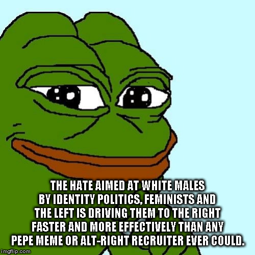 Let Your Enemies Do your Work For You | THE HATE AIMED AT WHITE MALES BY IDENTITY POLITICS, FEMINISTS AND THE LEFT IS DRIVING THEM TO THE RIGHT FASTER AND MORE EFFECTIVELY THAN ANY PEPE MEME OR ALT-RIGHT RECRUITER EVER COULD. | image tagged in smug pepe,right | made w/ Imgflip meme maker