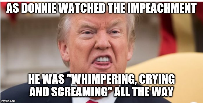 Whimpering Trump | AS DONNIE WATCHED THE IMPEACHMENT; HE WAS "WHIMPERING, CRYING AND SCREAMING" ALL THE WAY | image tagged in whimpering trump | made w/ Imgflip meme maker