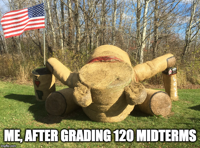 Face Plant Bear | ME, AFTER GRADING 120 MIDTERMS | image tagged in face plant bear | made w/ Imgflip meme maker