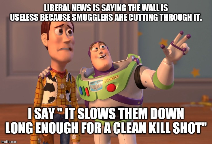 That's why it's working you tools | LIBERAL NEWS IS SAYING THE WALL IS USELESS BECAUSE SMUGGLERS ARE CUTTING THROUGH IT. I SAY " IT SLOWS THEM DOWN LONG ENOUGH FOR A CLEAN KILL SHOT" | image tagged in memes,build the wall,biased media,president trump | made w/ Imgflip meme maker