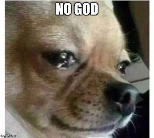 crying dog | NO GOD | image tagged in crying dog | made w/ Imgflip meme maker