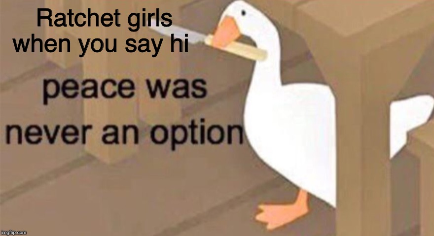Untitled Goose Peace Was Never an Option | Ratchet girls when you say hi | image tagged in untitled goose peace was never an option | made w/ Imgflip meme maker