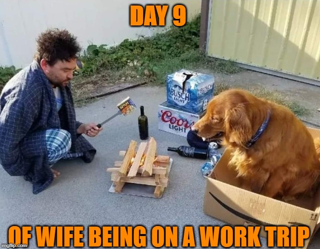 Baby Come Back !! | DAY 9; OF WIFE BEING ON A WORK TRIP | image tagged in dude,helpless,wife,on,work,trip | made w/ Imgflip meme maker