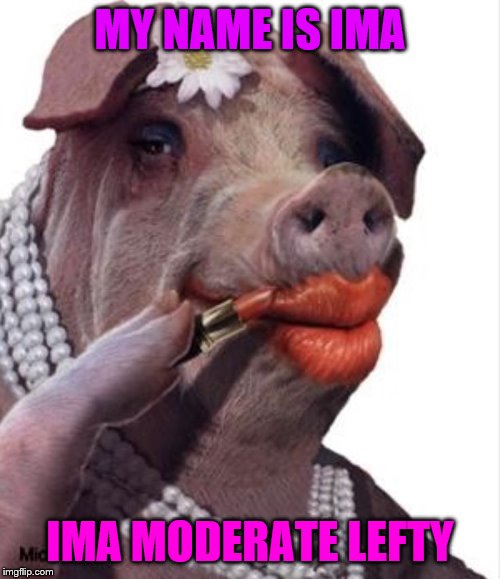 Lipstick on a pig | MY NAME IS IMA; IMA MODERATE LEFTY | image tagged in lipstick on a pig,memes,funny,political meme | made w/ Imgflip meme maker