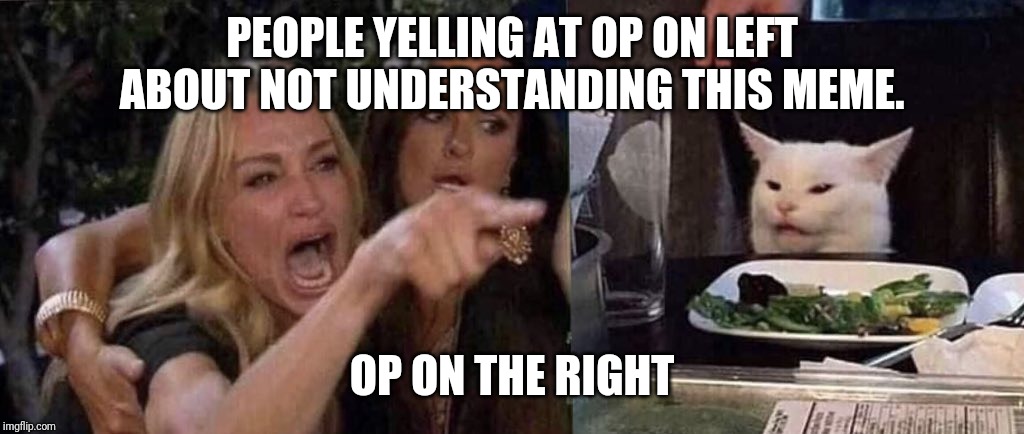 woman yelling at cat | PEOPLE YELLING AT OP ON LEFT ABOUT NOT UNDERSTANDING THIS MEME. OP ON THE RIGHT | image tagged in woman yelling at cat | made w/ Imgflip meme maker