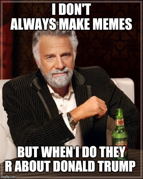 The Most Interesting Man In The World Meme | I DON'T ALWAYS MAKE MEMES; BUT WHEN I DO THEY R ABOUT DONALD TRUMP | image tagged in memes,the most interesting man in the world | made w/ Imgflip meme maker