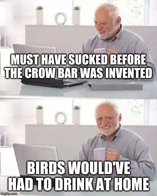 Right? | MUST HAVE SUCKED BEFORE THE CROW BAR WAS INVENTED; BIRDS WOULD'VE HAD TO DRINK AT HOME | image tagged in memes,hide the pain harold | made w/ Imgflip meme maker