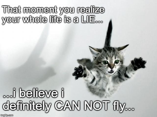 i believe i can fly... | That moment you realize your whole life is a LIE... ...i believe i definitely CAN NOT fly... | image tagged in i believe i can fly | made w/ Imgflip meme maker
