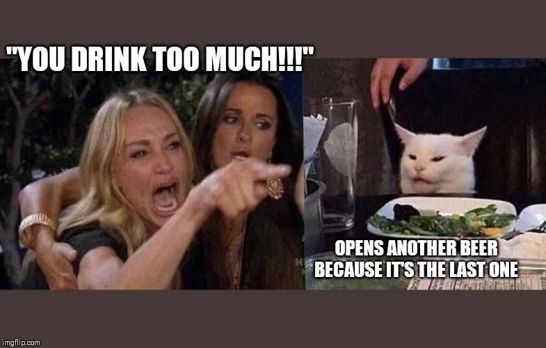 woman yelling at cat | "YOU DRINK TOO MUCH!!!"; OPENS ANOTHER BEER BECAUSE IT'S THE LAST ONE | image tagged in woman yelling at cat | made w/ Imgflip meme maker