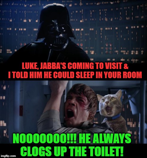 House Guests | LUKE, JABBA'S COMING TO VISIT & I TOLD HIM HE COULD SLEEP IN YOUR ROOM; NOOOOOOO!!! HE ALWAYS CLOGS UP THE TOILET! | image tagged in funny memes,starwars no,cat,jabba the hutt | made w/ Imgflip meme maker