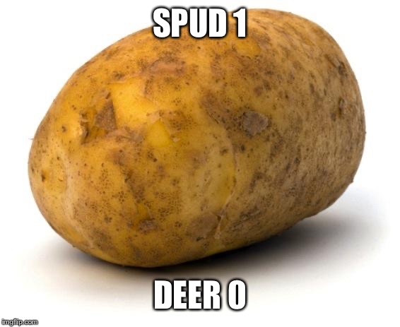I am a potato | SPUD 1 DEER 0 | image tagged in i am a potato | made w/ Imgflip meme maker