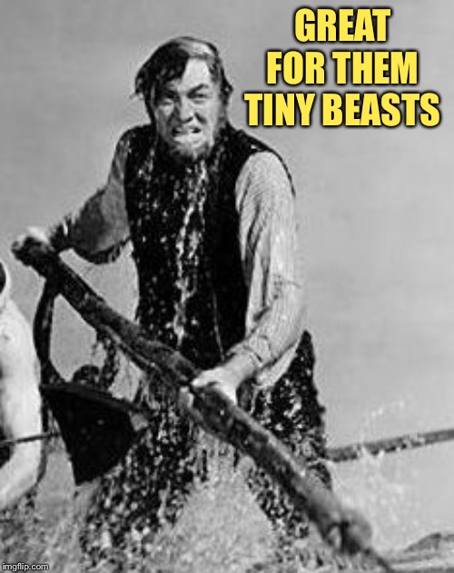 ahab | GREAT FOR THEM TINY BEASTS | image tagged in ahab | made w/ Imgflip meme maker