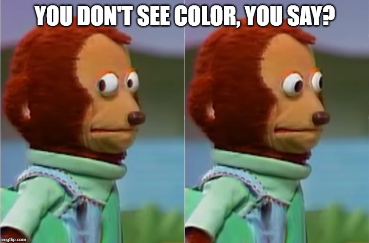 puppet Monkey looking away |  YOU DON'T SEE COLOR, YOU SAY? | image tagged in puppet monkey looking away | made w/ Imgflip meme maker