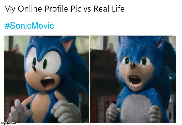 Take your pick | #SonicMovie | image tagged in twitter,profile picture,real life,sonic the hedgehog,sonic movie | made w/ Imgflip meme maker