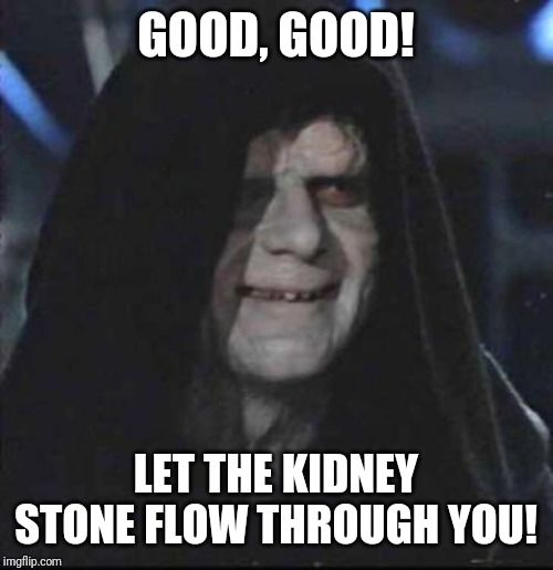 Sidious Error Meme | GOOD, GOOD! LET THE KIDNEY STONE FLOW THROUGH YOU! | image tagged in memes,sidious error | made w/ Imgflip meme maker