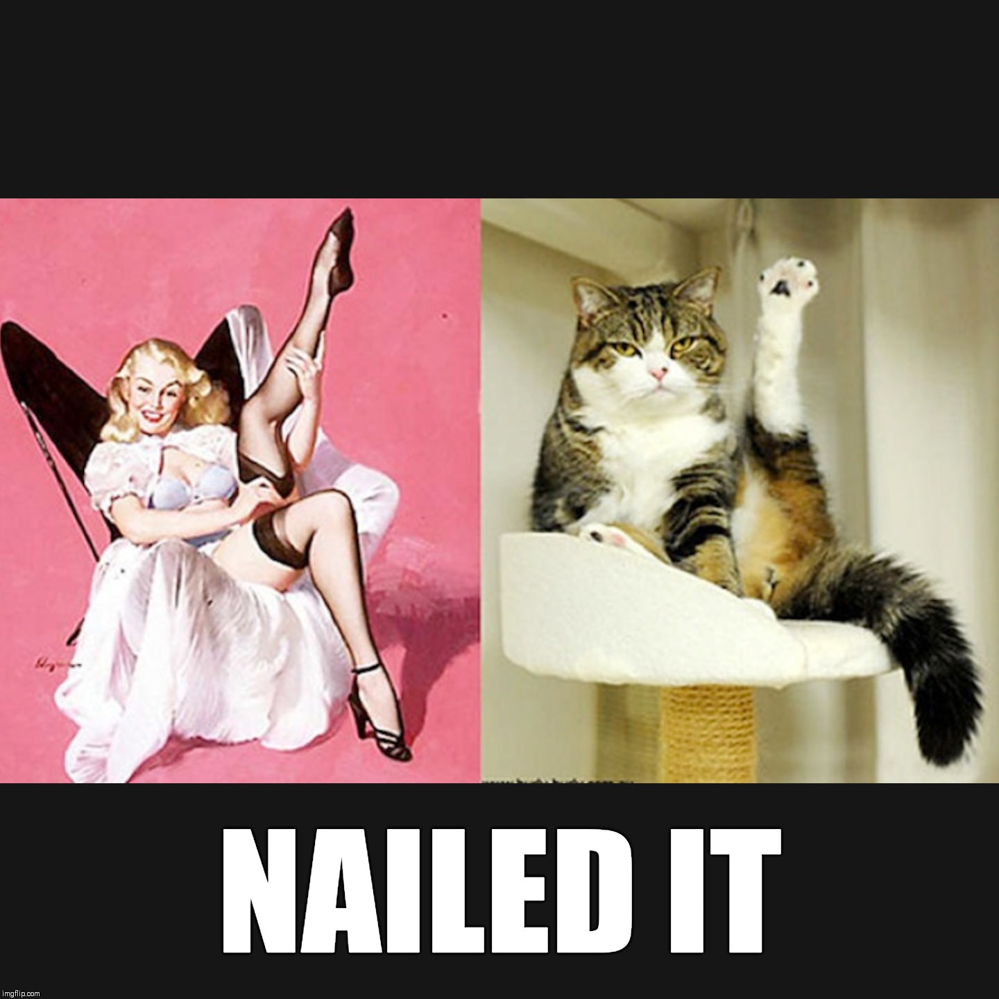 Nailed It | NAILED IT | image tagged in nailed it,spirit animal,cats,funny,pinup,memes | made w/ Imgflip meme maker