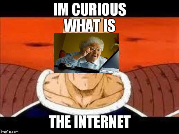 Im Curious Nappa | IM CURIOUS
WHAT IS; THE INTERNET | image tagged in memes,im curious nappa | made w/ Imgflip meme maker