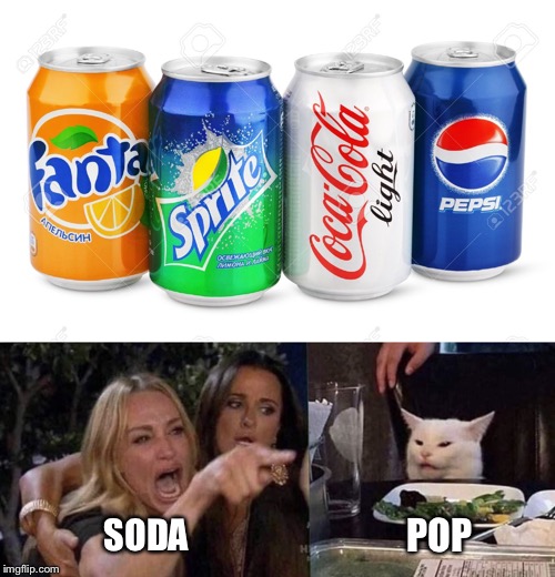 POP; SODA | image tagged in woman yelling at cat | made w/ Imgflip meme maker