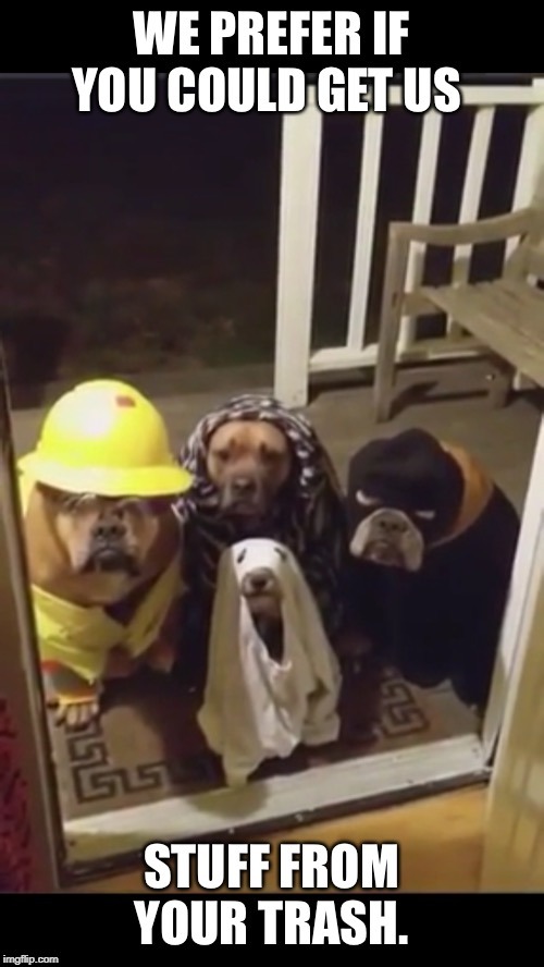 Me and the boys being kids for Halloween | image tagged in dogs,halloween,repost | made w/ Imgflip meme maker