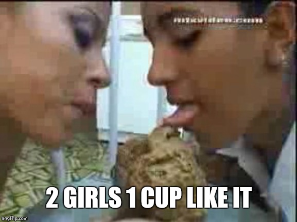 2 GIRLS 1 CUP LIKE IT | made w/ Imgflip meme maker