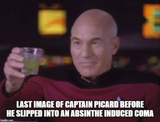 Took the Green Fairy | LAST IMAGE OF CAPTAIN PICARD BEFORE HE SLIPPED INTO AN ABSINTHE INDUCED COMA | image tagged in captain picard star trek | made w/ Imgflip meme maker