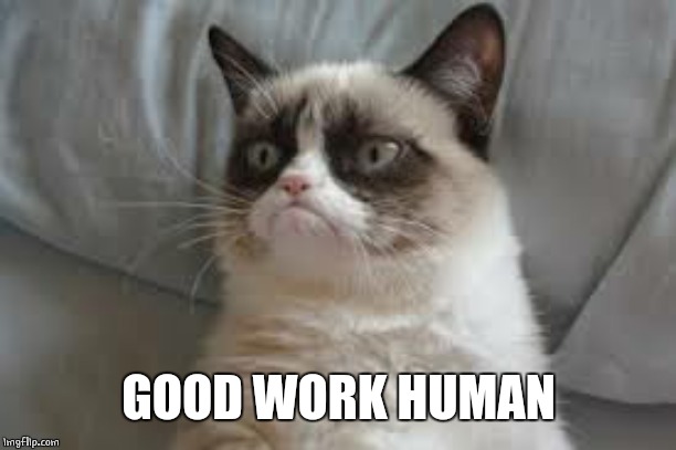 Grumpy cat | GOOD WORK HUMAN | image tagged in grumpy cat | made w/ Imgflip meme maker