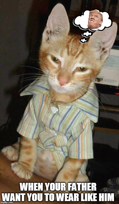 WHEN YOUR FATHER WANT YOU TO WEAR LIKE HIM | image tagged in sad cat | made w/ Imgflip meme maker