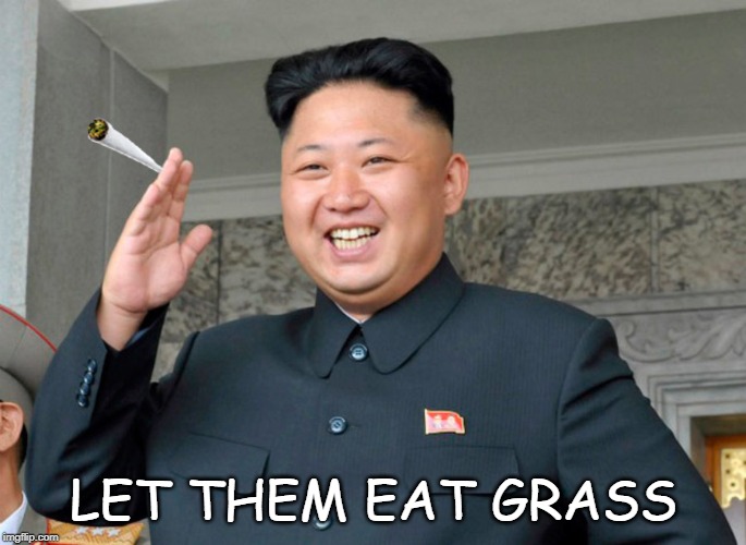 cannabis in north korea | LET THEM EAT GRASS | image tagged in cannabis in north korea | made w/ Imgflip meme maker