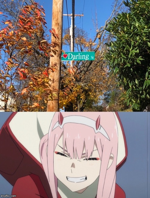 Darling! | image tagged in darling in the franxx,anime,memes,mwahahaha | made w/ Imgflip meme maker