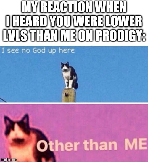 I see no god up here | MY REACTION WHEN I HEARD YOU WERE LOWER LVLS THAN ME ON PRODIGY: | image tagged in i see no god up here | made w/ Imgflip meme maker